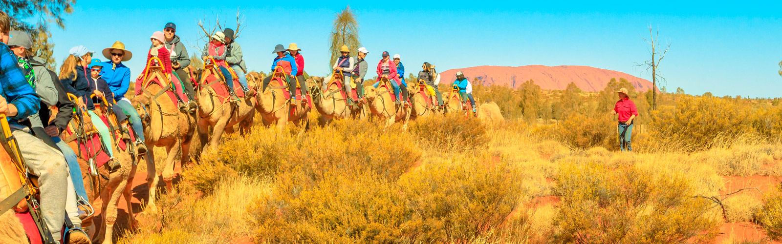 Alice Springs Camel Tours